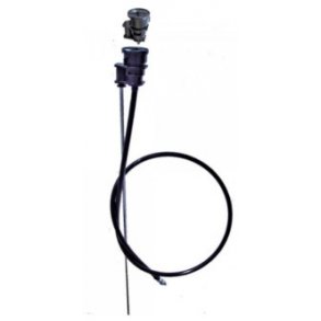 Tavlit QT- 0010015741