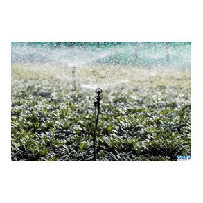 Gyro-Net Turbo __l/t komplet m. spyd 1,2 m 8mm, adp.