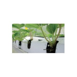 Mapal container t. jordbr