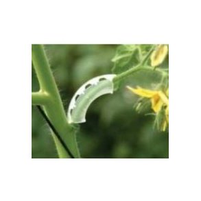 Paskal Arch-Cluster Support 6 mm, 1000 stk.