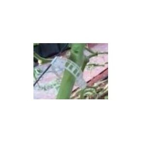 Paskal Jumbo Clip 25 mm 1000/stk