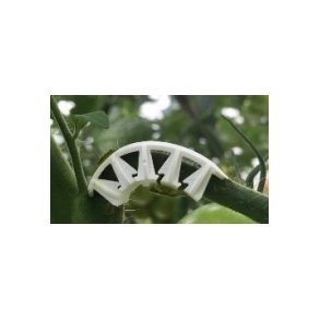 Paskal Top Flex Arch 6 mm