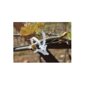 Paskal Vine Clip 1000 stk.